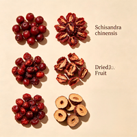 Gedroogde Schisandra-bessen (Schisandrae Chinensis Fructus), rauw kruidenfruit voor voedingssupplementen, dranken, cosmetica-extract, grondstof