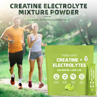 Fabricant OEM sous Marque Blanche – Bâtonnets de Créatine Monohydrate 5g et Électrolytes, 30 Doses, Mélange Hydratant Sans Sucre pour Adultes