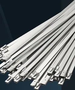 China professional manufacturing high quality durable Stainless Steel Ties 4.6*400 series stainless steel material self-locking