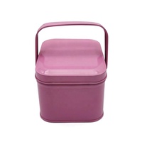 Forme rectangulaire achetez une petite valise en étain métallique/boîtes à déjeuner en étain cadeau emballage avec poignées