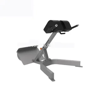 Gym use roman chair/LOWER BACK BENCH fitness equipment XZ-6050