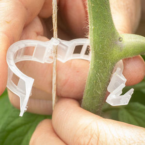 White Brown Black Color Plastic Tomato <strong>Clip</strong> Garden Supplies Plant Support Products Indoor And Outdoor Use Tomato <strong>Clip</strong> - Product Image 4