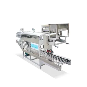 2019 nieuwe machine automatische noodle snijmachine/rijst noodle snijmachine van Guangdong provincie