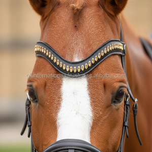 Frontal en cuir souple pour cheval, personnalisé avec cristaux et chaîne scintillante, rembourré et élégant, pour bride - Product Image 1