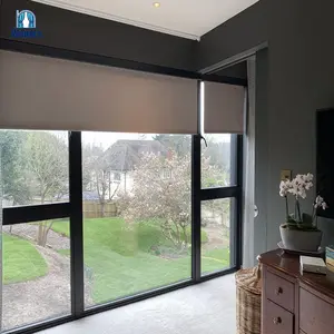 Customized Modern Indoor Roller Blinds Automatic Smart Manual Roller Blinds For Living Room Window