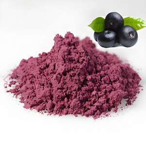 Yüksek kaliteli 4:1-20:1 dondurularak kurutulmuş <span class=keywords><strong>Acai</strong></span> <span class=keywords><strong>Berry</strong></span> tozu fabrika doğrudan gıda sınıfı meyve özü polifenoller mevcut şişe davul - Product Image 2