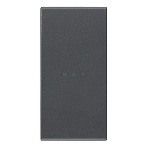 Axial Grey Push <b>Button</b> Switch 2.2 X 4.4 X 0.4 In For Electrical Panels - Product Image 1