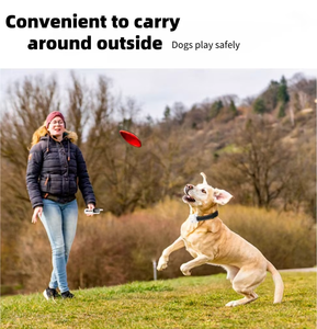Anti-Bell-Halsband für Haustiere, wasserdichtes elektrisches Hundetrainingshalsband mit Fernbedienung - Product Image 3