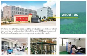 Óleo de Atractylodes Lancea Puro e <span class=keywords><strong>Natural</strong></span> para Indústria Química Diária Extrato de Ervas Óleo de Atractylis - Product Image 6