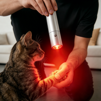 Nouveau stylo de luminothérapie rouge ciblée avec soulagement de la douleur et 4 LED pour usage domestique et commercial
