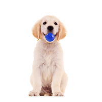 LED Vibrierender Blinkender Ball Hundespielzeug Lustiges Zahnreinigungsspielzeug Ballspielzeug