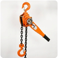 Palans de levage manuels de haute qualité 0,5 tonne pour la construction, chaîne de 6 mm, bloc de poulie en acier au manganèse, 6 m/min, neuf, garantie 1 an
