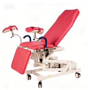 เตียงตรวจภายในไฟฟ้าทางนรีเวชวิทยา ยี่ห้อ Hochey สำหรับคลินิกและโรงพยาบาล - Product Image 1