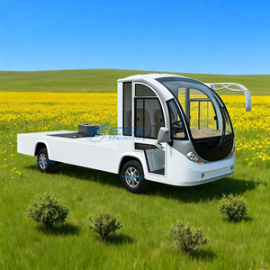 Autobús Turístico Eléctrico Personalizable de 72V, Autobús Turístico Eléctrico de 2 Plazas, Apto para Resorts y Parques - Product Image 1