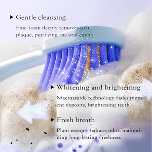 KORMESIC Private Label 120g Niacinamide Brightening Toothpaste Oral Care <b>Teeth</b> Paste Organic Fresh Breath <b>Whitening</b> Rich Foam - Product Image 2