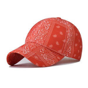 Chapéu de beisebol para mulheres com estampa de flores Paisley novo designer por atacado - Product Image 6