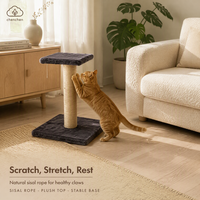 Griffoir pour chat en sisal, corde en sisal naturelle, plateforme en peluche douce, base carrée stable pour chats d'intérieur