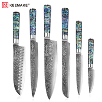 Ensemble de couteaux de cuisine Damas haut de gamme 6 pièces avec acier japonais VG10 67 couches, couteaux de chef, manche en résine d'abalone, OEM/ODM