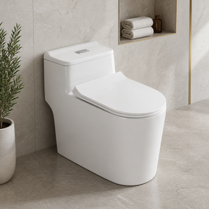 Confezione per WC: la prima parte della spedizione che il tuo acquirente richiede. Chiedi come il prodotto può essere trasportato e come il prodotto IT può essere trasportato in modo predefinito. - Product Image 1