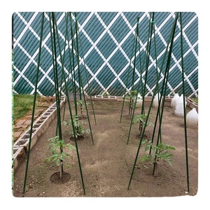 เสาสวนเหล็กเคลือบพลาสติกสำหรับปลูกพืชปีนเขา - Product Image 4