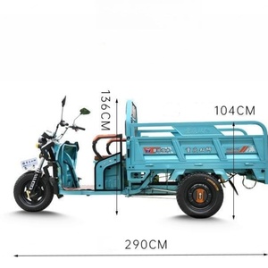 Tricycle électrique agricole haute performance 1000W 60V à 3 roues pour le transport de marchandises et l'utilisation en ferme - Product Image 3