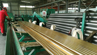 TUBE ANTI CORROSION