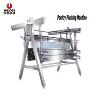 Unité de Découpe de Volailles Portable Haute Productivité avec Moteur et Pompe – Ligne Mini de Boucherie Avicole pour Petits Abattoirs