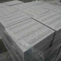 Dalles de pavage tactiles en granit durables et écologiques, directement de l'usine, pour trottoirs modernes sans obstacle et parcs extérieurs
