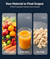 Energiezuinige industriële schroefpersmachine met laag energieverbruik, SUS304 contactonderdelen voor fruitverwerkingsfabrieken