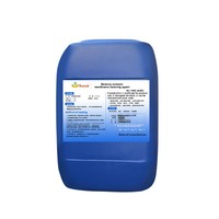 Agent de nettoyage de membrane d'osmose inverse - Détartrant spécifique pour système de purification d'eau industrielle à base d'acide - Traitement de l'eau