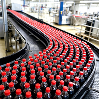 Machine de remplissage de bouteilles en PET entièrement automatique à haute vitesse pour boissons gazeuses au CO2, ligne de production complète de boissons non alcoolisées
