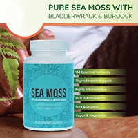 Compléments Minéraux et Baies d'Agripaume Sauvages Marque Blanche – Capsules de Mousse de Mer Irlandaise pour la Croissance Capillaire