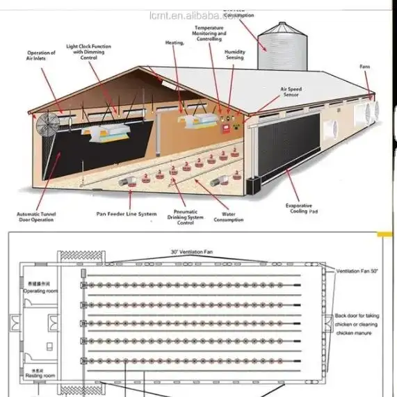 Komplettes schlüssel fertiges Projekt des Geflügel hauses Automatische Fütterung ausrüstung Broiler Feed Line System