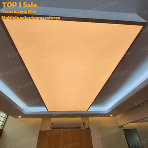 <span class=keywords><strong>2025</strong></span> Trung Quốc nhà máy bán hàng trực tiếp không độc hại hiện đại chống cháy treo hộp Đèn trần <span class=keywords><strong>PVC</strong></span> Stretch Trần cho văn phòng - Product Image 1