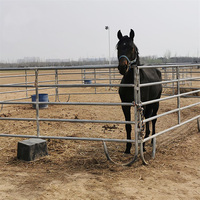 Panneaux galvanisés de clôture pour chevaux en métal de 6 pieds et 12 pieds Panneaux d'enclos pour bétail Panneaux d'enclos pour chevaux de corral utilisés