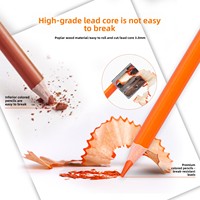Lot de crayons gras 48/72/120 couleurs en boîte PP – Fournitures d'art pour l'école, les étudiants, le graffiti et la peinture – Vente en gros personnalisée