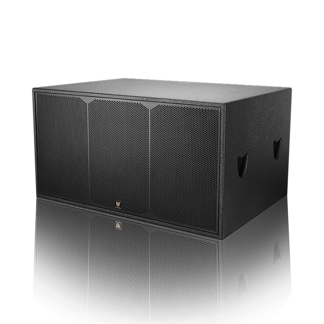 BDSOUND Portable Dual 18 Inch 5.0 Party Speaker RGB Light Rechargeable Wireless TWS 1000W 100 Dispersion