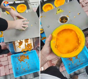 Línea de Procesamiento de Calabazas, Máquina para Pelar, Cortar por la Mitad y Eliminar Semillas - Product Image 6