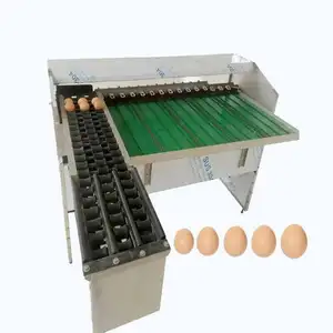 Eiersorteermachine Eendeneieren En Ganzenboerderij Automatische Roestvrijstalen Grader Sortering Op Gewicht