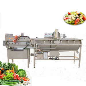Industrial Grade <b>Vegetable</b> Cleaning Machine New Eddy Current Washing Equipment With Engine Core Component for Fruit Raw Material - Product Image 5