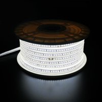 Bande lumineuse LED flexible haute tension imperméable à l'eau IP65 de haute qualité personnalisée pour extérieur CE RoHS LVD VDE AC110V 220V 230V