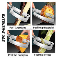 Fruit-En Groentegereedschap Handmatige Handmatige Roestvrijstalen Suikerriet En Ananas Schilmes