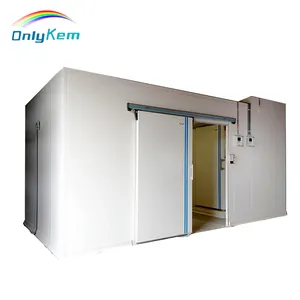 Restaurant Commercial Cold Storage Room, Walk in Refrigerator, Fruit and Vegetable Chiller