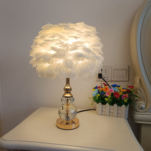 Modern White Pink <strong>Grey</strong> Crystal Feather <strong>Lamp</strong> LED Creative Pearl Goose Feathers for Bedroom Decoration E27 Bedside <strong>Floor</strong> <strong>Lamp</strong> - Product Image 5
