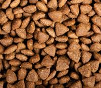 Aliments pour animaux de compagnie en gros OEM ODM, aliments secs soufflés en vrac, riches en protéines, pour la santé de la peau et du pelage, saveur poulet, prix complet