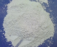 Additifs alimentaires de haute qualité DCP Phosphate dicalcique poudre de phosphate dicalcique de qualité alimentaire 18%