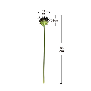 QYYM-768 grande <span class=keywords><strong>corolle</strong></span> à <span class=keywords><strong>fleurs</strong></span> fleur décorative élégante collection de plantes et de <span class=keywords><strong>fleurs</strong></span> d'intérieur et d'extérieur - Product Image 6
