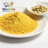 WinWin Supply Bubuk Quercetin 98% Bubuk Granular Quercetin
