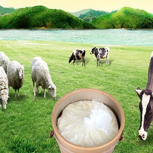 Tambor de Fibra para Engrasado con un Diámetro Externo de 31 cm - Product Image 3