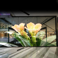 Écran invisible holographique muxwave d'intérieur à haute transparence Écran de panneau publicitaire à LED Affichage 3D pour la publicité